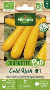 Courgette Jaune Gold Rush HF1 - BIO